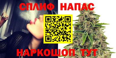 стафф Краснокаменск