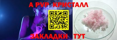 стафф Краснознаменск