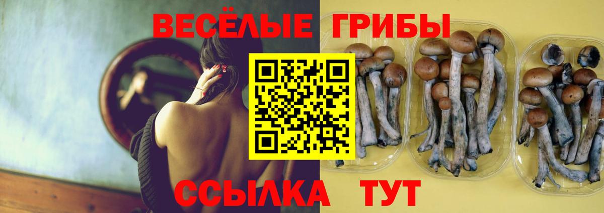 Галлюциногенные грибы прущие грибы  Вход с VPN  Невинномысск  Псилоцибиновые грибы мицелий 