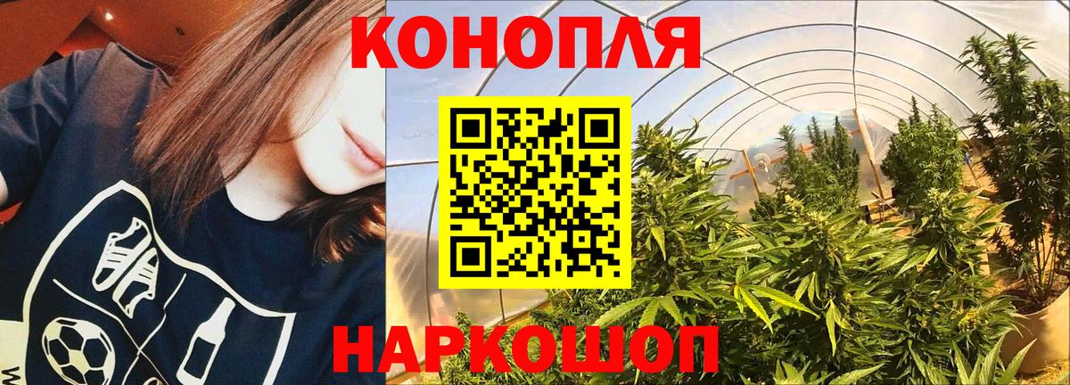 Бошки марихуана гибрид  Марихуана сатива  Невинномысск  Вход с VPN  Конопля ГИДРОПОН  Канабис планчик 